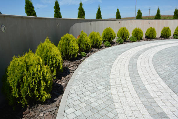 Best Best Driveway Pavers  in Planada, CA